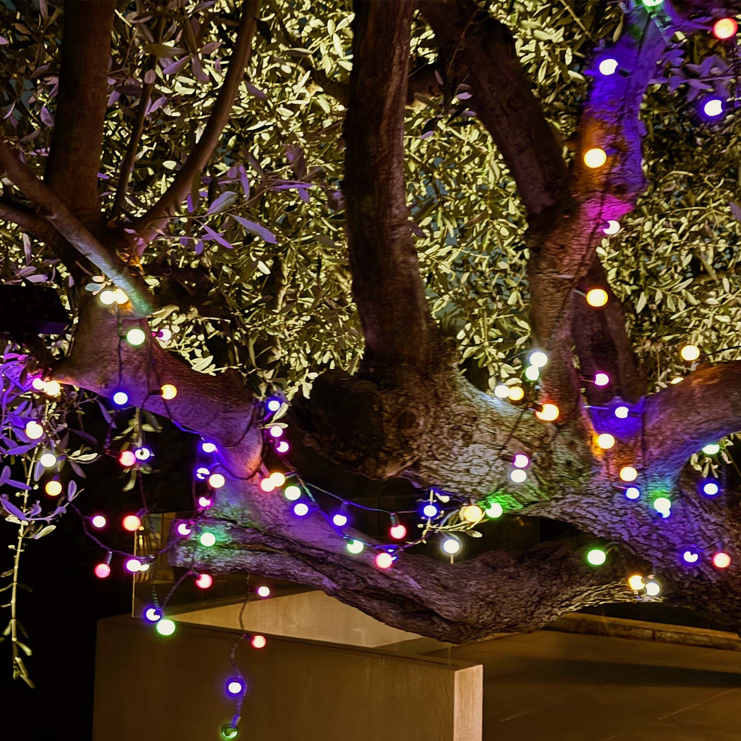Guirlande lumineuse solaire 100 ampoules rondes multicolores LED BILLY RGB 10.90m