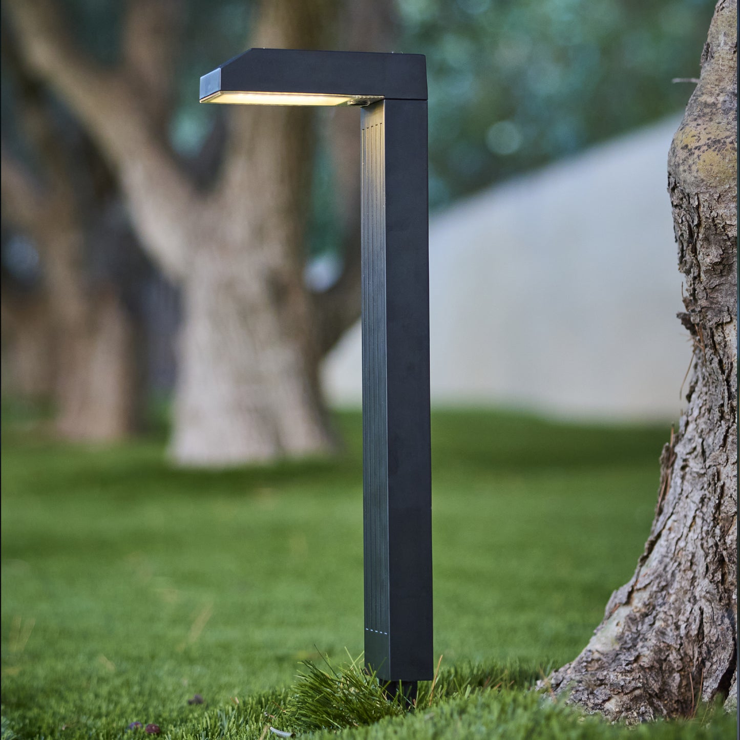 Lot de 4 balises solaires à piquer LED blanc chaud / froid 4X TORLY H40cm