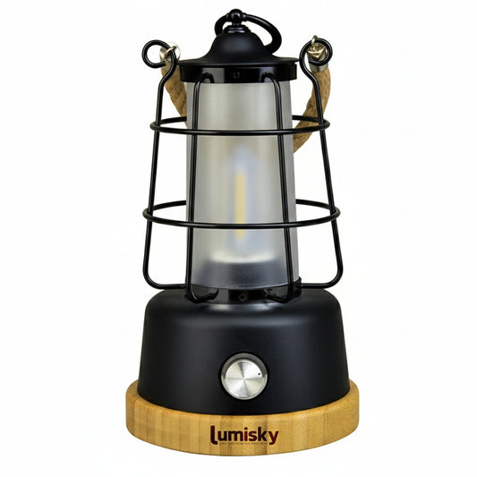 Kabellose Laterne mit Seilgriff warmweiße LED / dimmbar WILDY H23cm