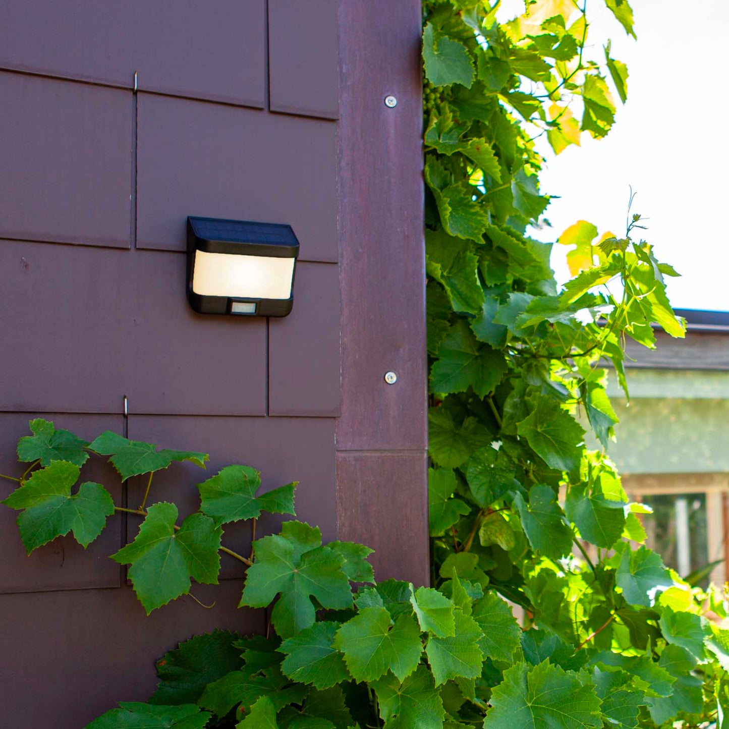 Applique murale solaire TRY SOLAR aluminium noir LED blanc avec détecteur de mouvement H6,9cm