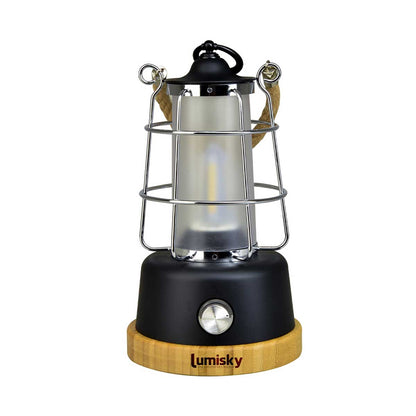 Kabellose Laterne mit Seilgriff warmweiße LED / dimmbar WILDY H23cm